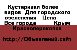 Кустарники более 100 видов. Для городского озеленения › Цена ­ 70 - Все города  »    . Крым,Красноперекопск